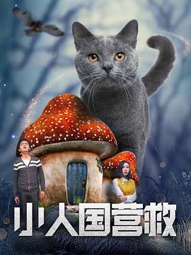 1080P手机在线看