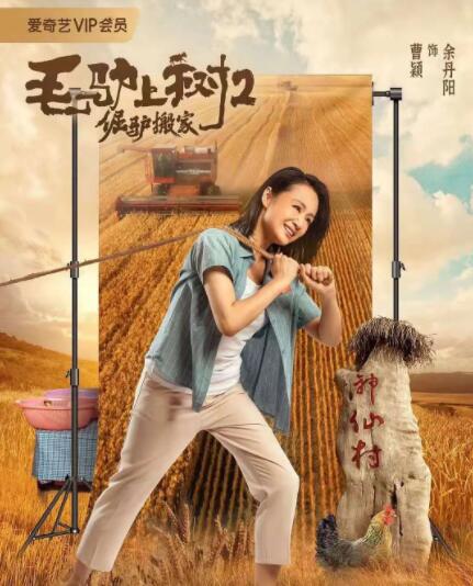 全集免费观看超清