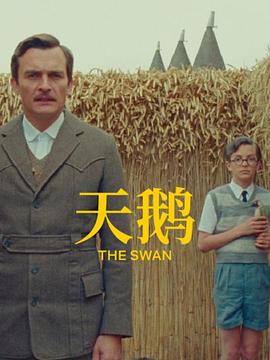 中文字幕
