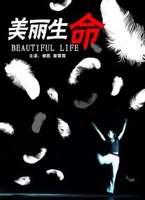 手机在线观看